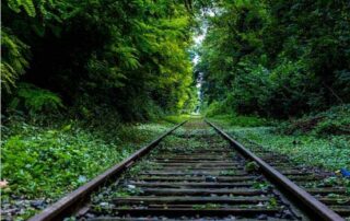 O avanço sobre a Amazônia